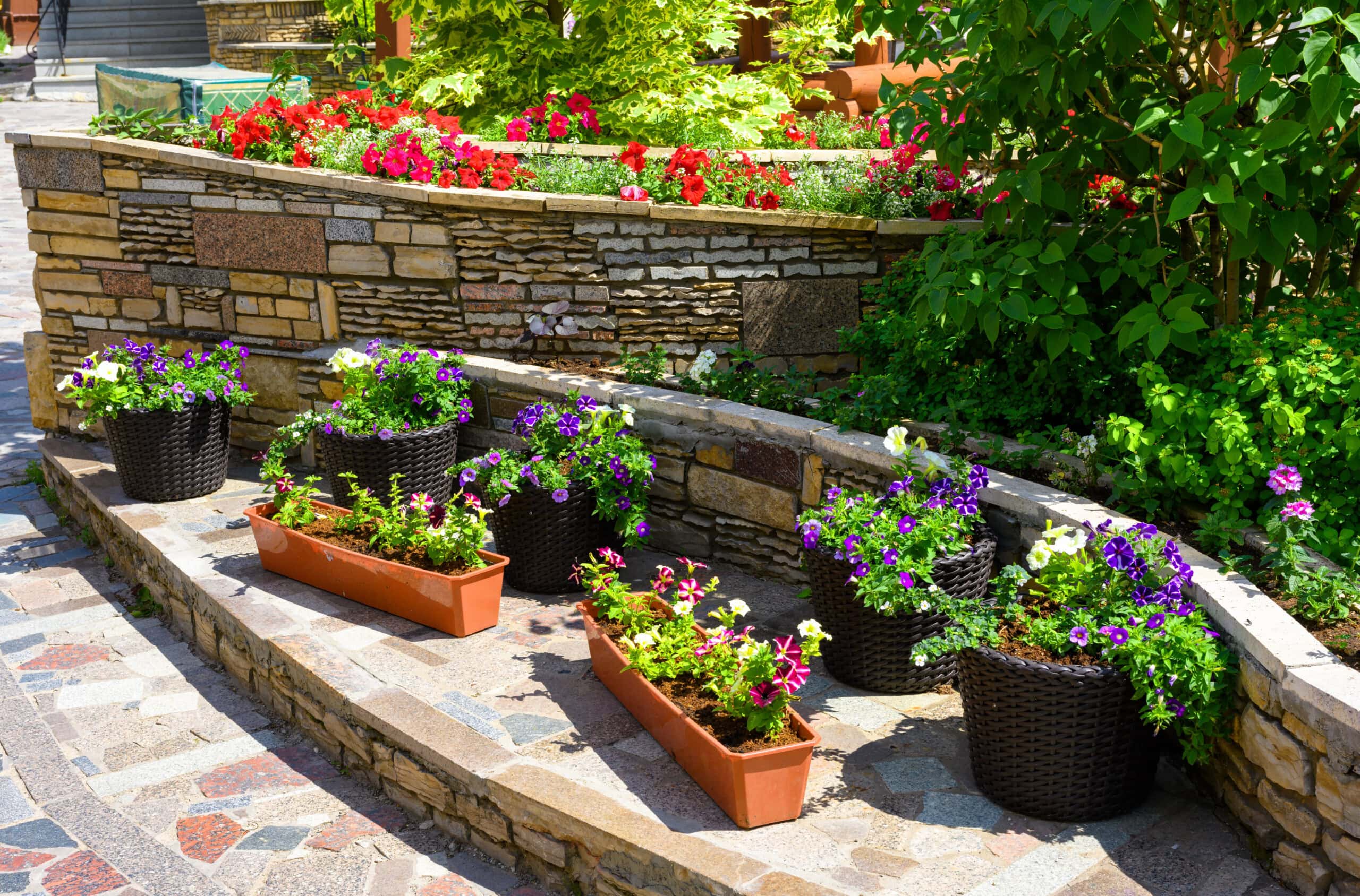 Landscape design of nice home garden in summer