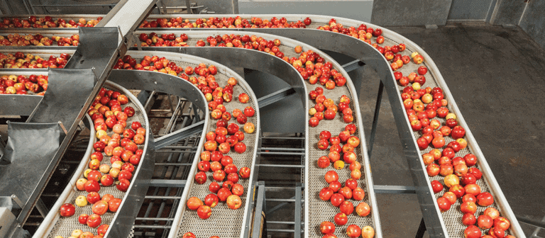 Apples-packing
