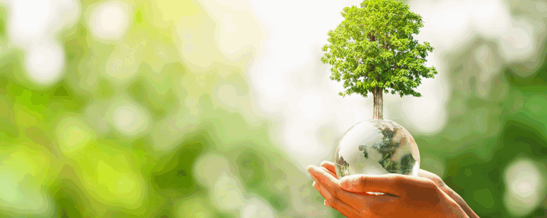 We can help you with your environmental duty requirements